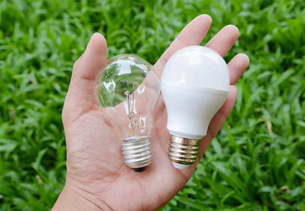 Brighten Your March with Eco-Friendly LED Lighting Solutions