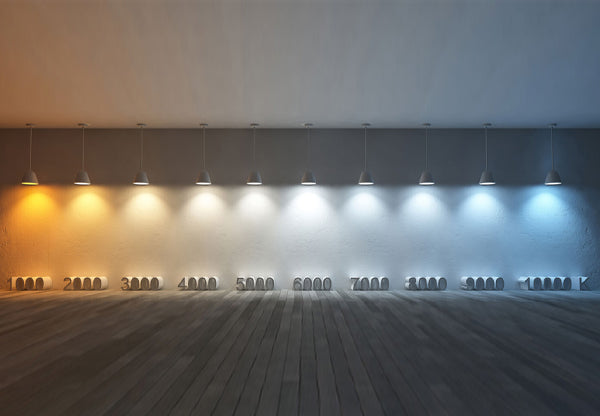 The Science of Lighting: Understanding Color Temperature