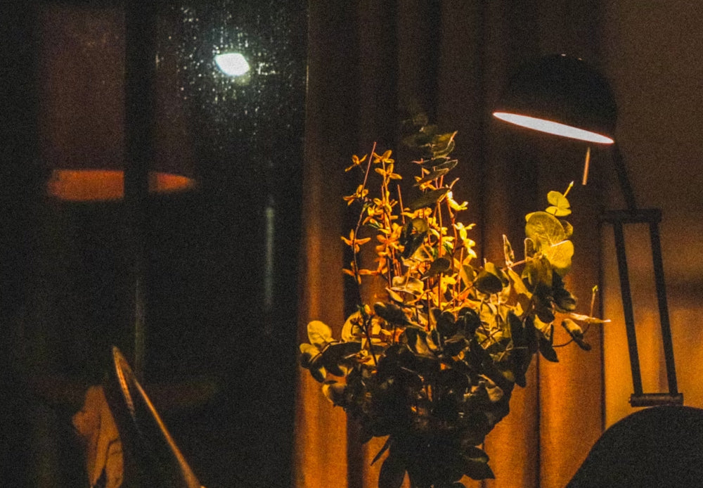 Spring into Light: Refresh Your Home with Bright Ideas This April