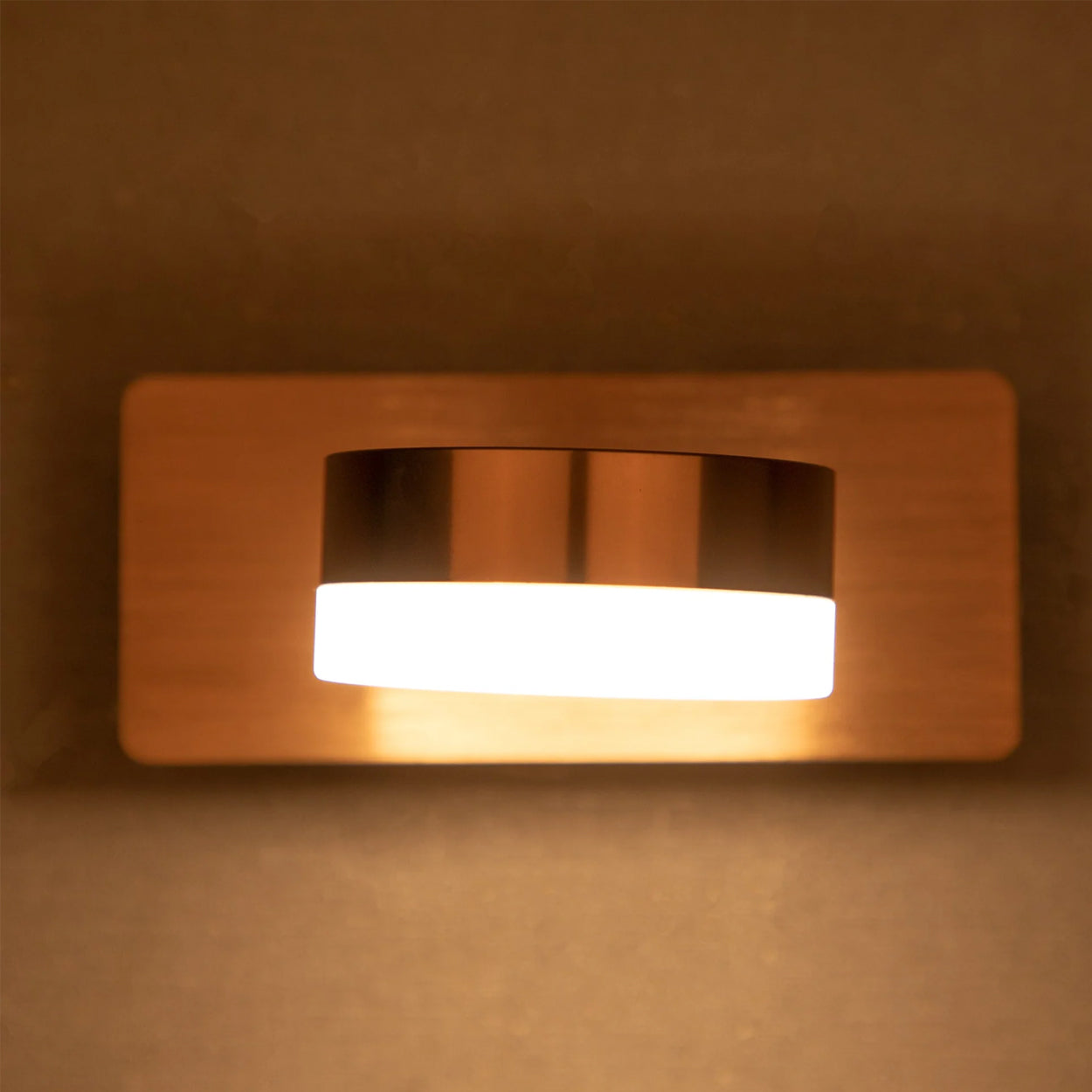 ANKUR DONUT CONTEMPORARY LED MIRROR AND PICTURE LIGHT FOR LIVING AND HOME LIGHTING