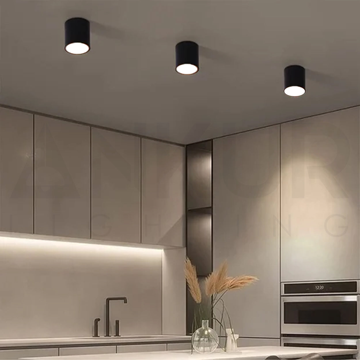 ANKUR MINI TURTLE SURFACE MOUNTED LED DOWNLIGHT