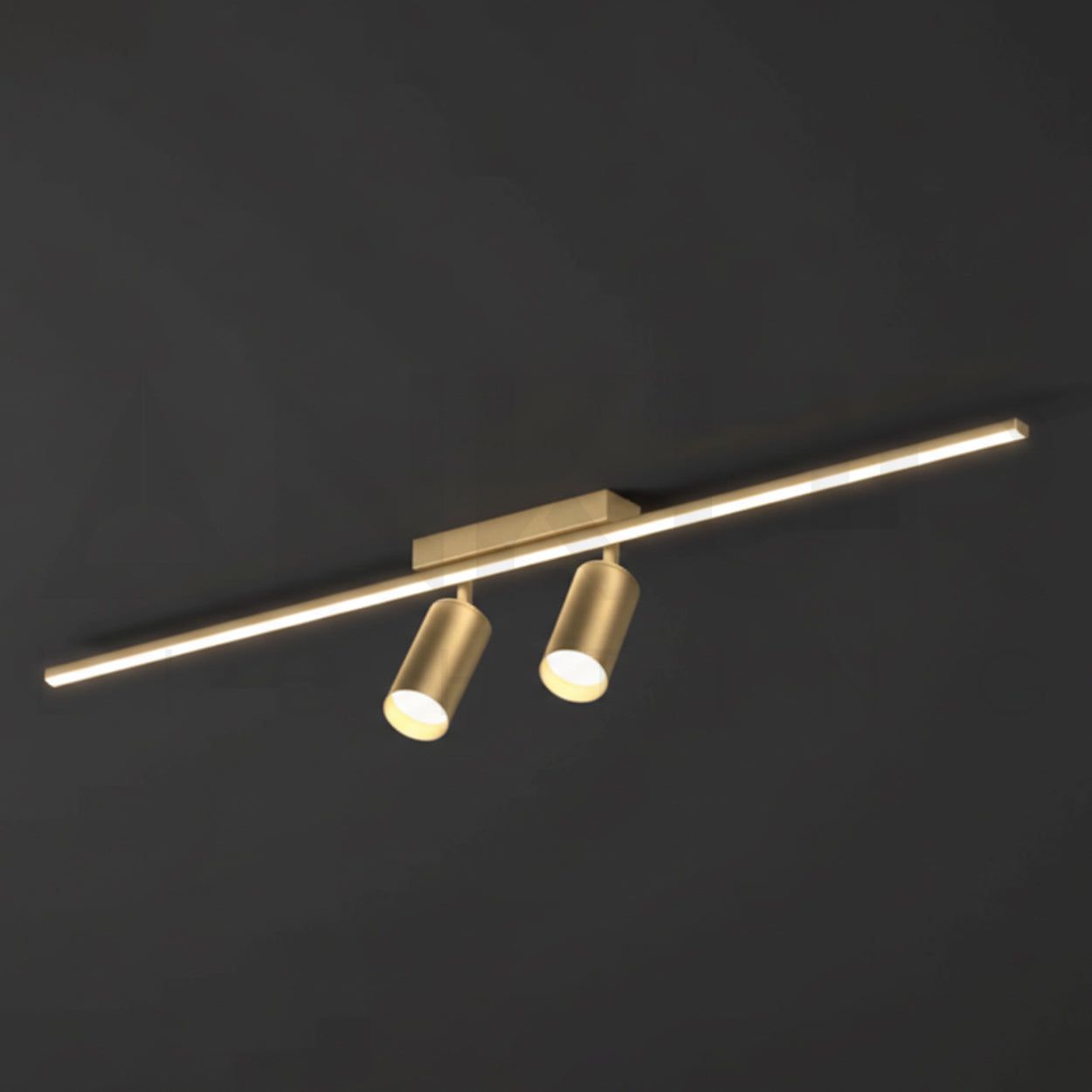 ANKUR VIOLA TWO LED SPOT LIGHT WITH LED WALL LIGHT