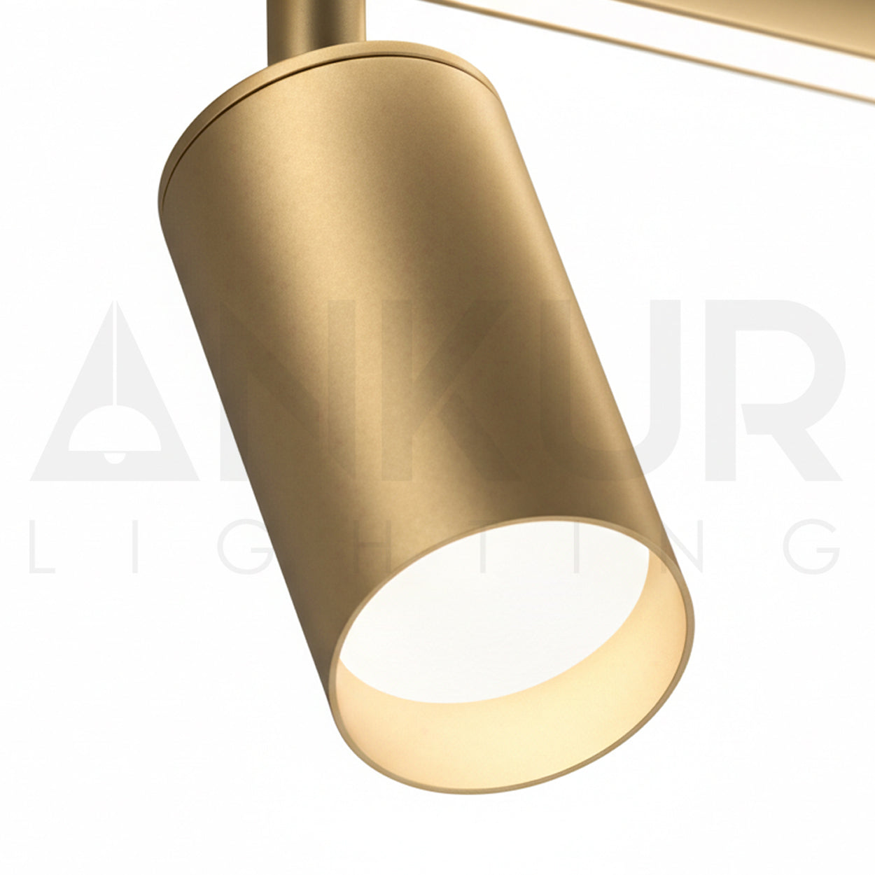 ANKUR VIOLA TWO LED SPOT LIGHT WITH LED WALL LIGHT