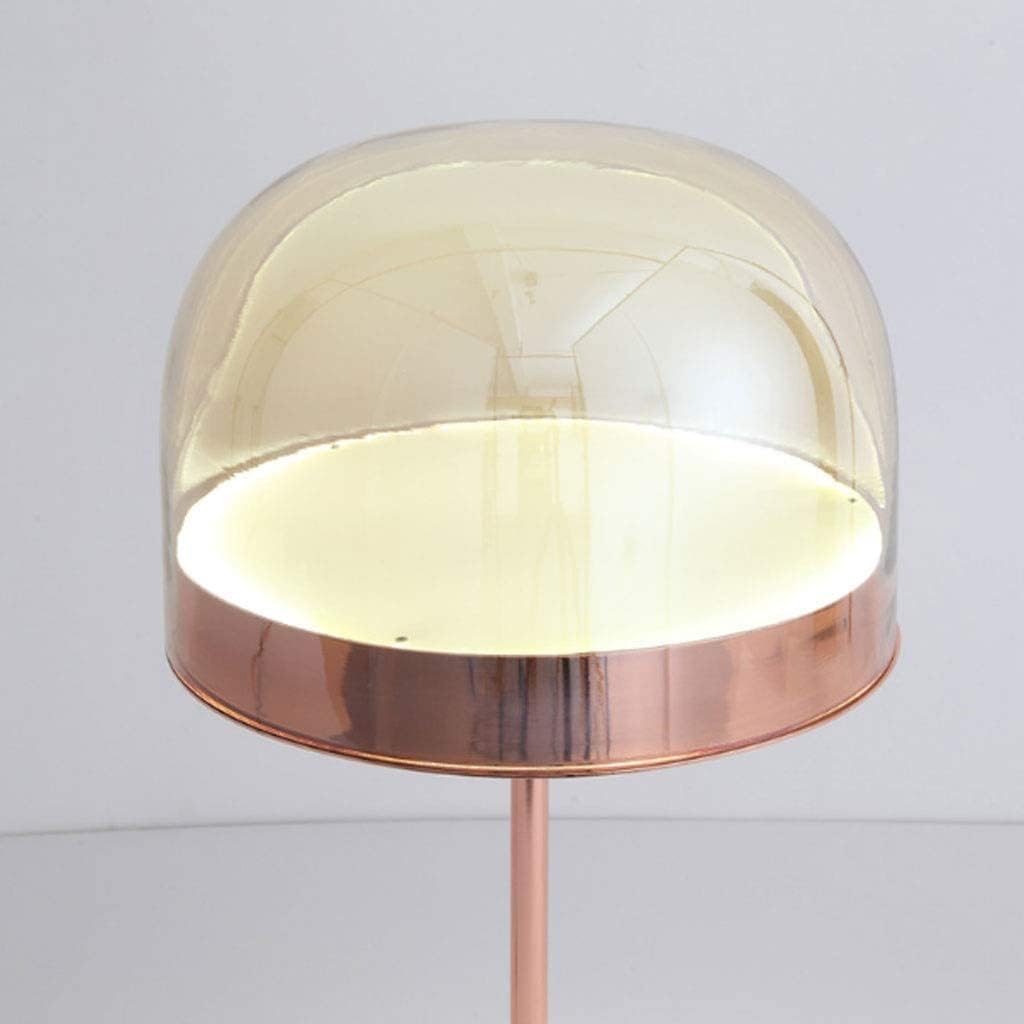 ANKUR CLASSY COPPER FINISH METAL AND GLASS BASED FLOOR LAMP FOR LIVING AND BEDROOM LIGHTING