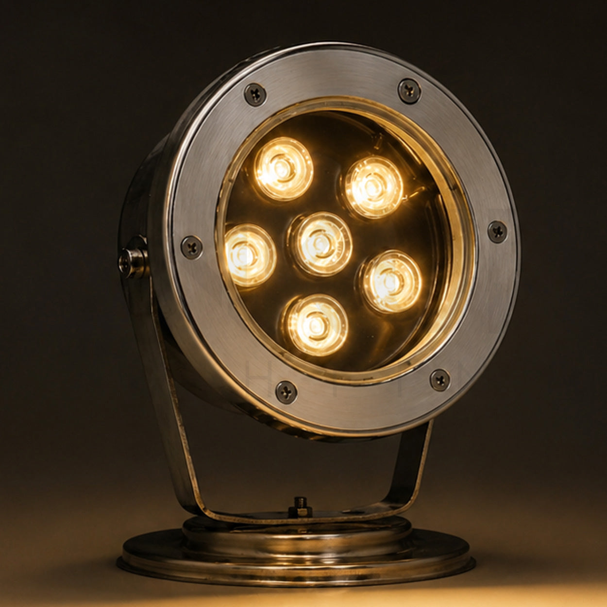 ANKUR LUPINE IP65 WATERPROOF 6 LED FULL STAINLESS STEEL FOUNTAIN