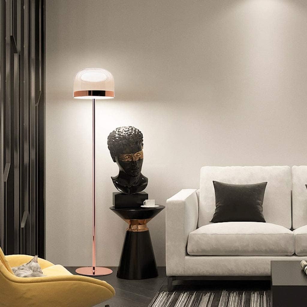 ANKUR CLASSY COPPER FINISH METAL AND GLASS BASED FLOOR LAMP FOR LIVING AND BEDROOM LIGHTING