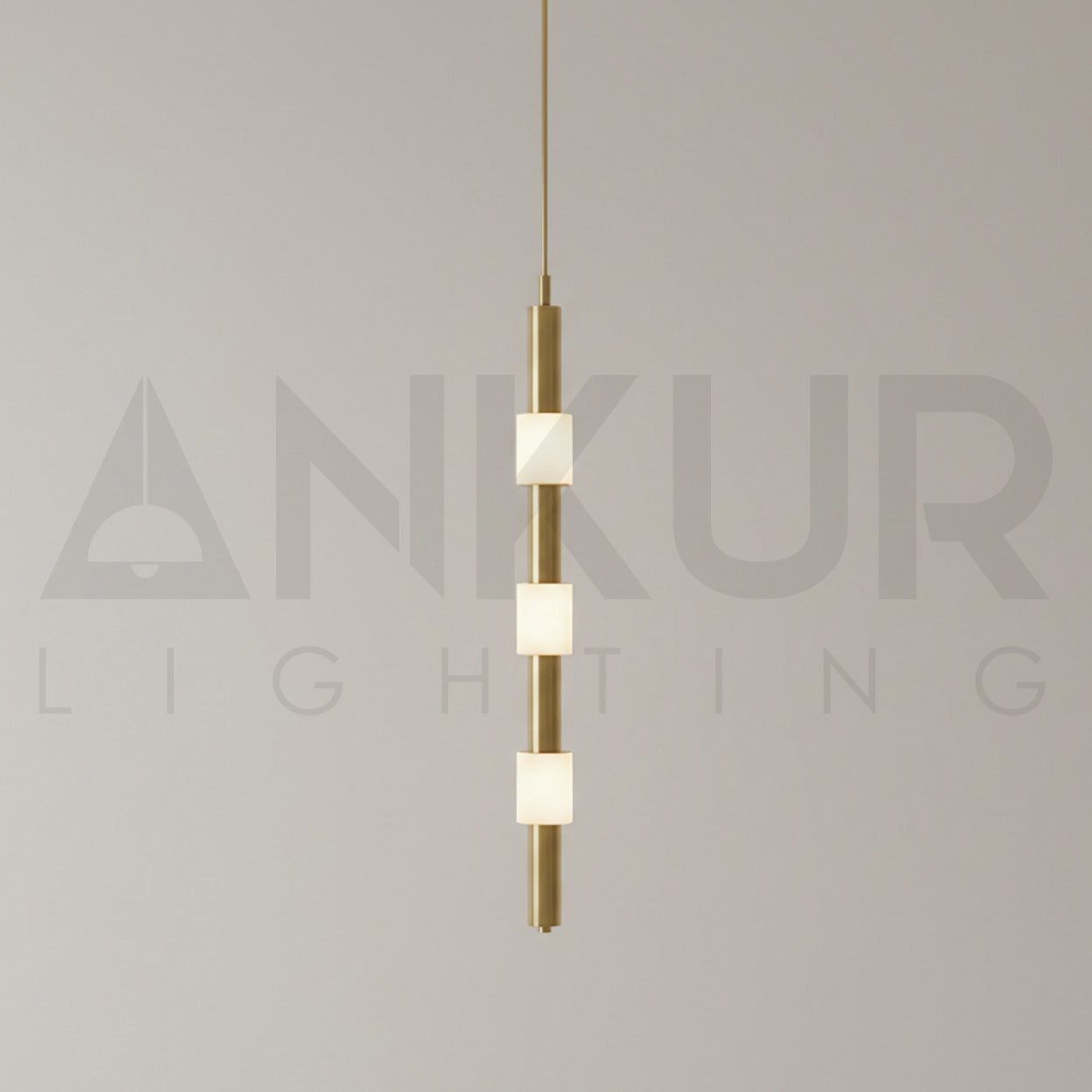 ANKUR PARIET RING METAL LED MODERN HANGING LIGHT