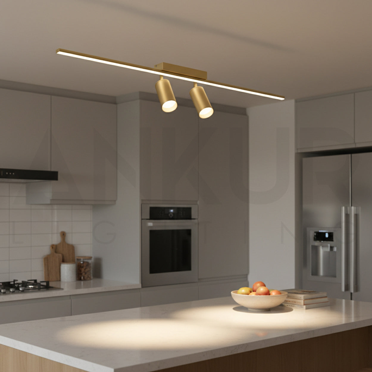 ANKUR VIOLA TWO LED SPOT LIGHT WITH LED WALL LIGHT