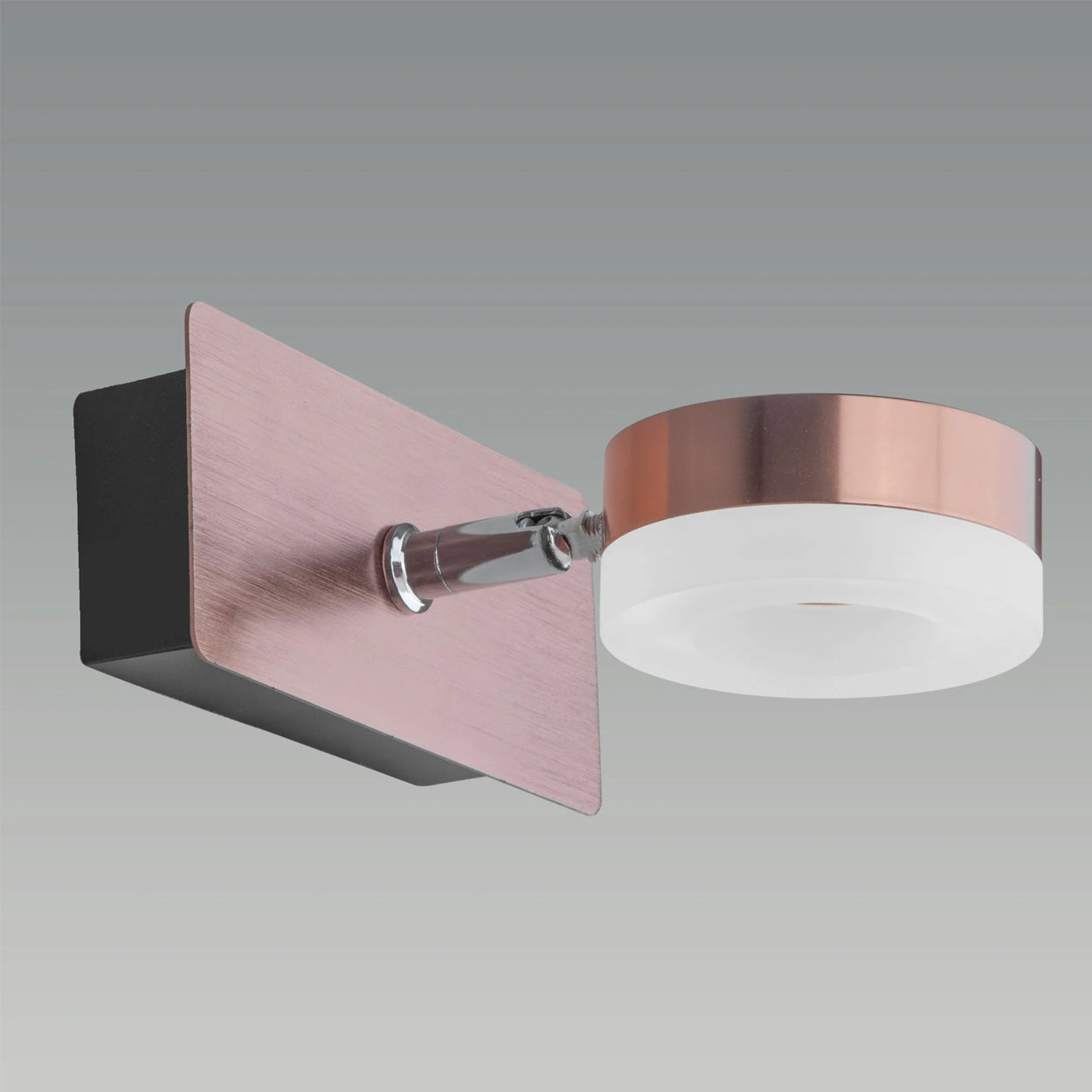 ANKUR DONUT CONTEMPORARY LED MIRROR AND PICTURE LIGHT FOR LIVING AND HOME LIGHTING