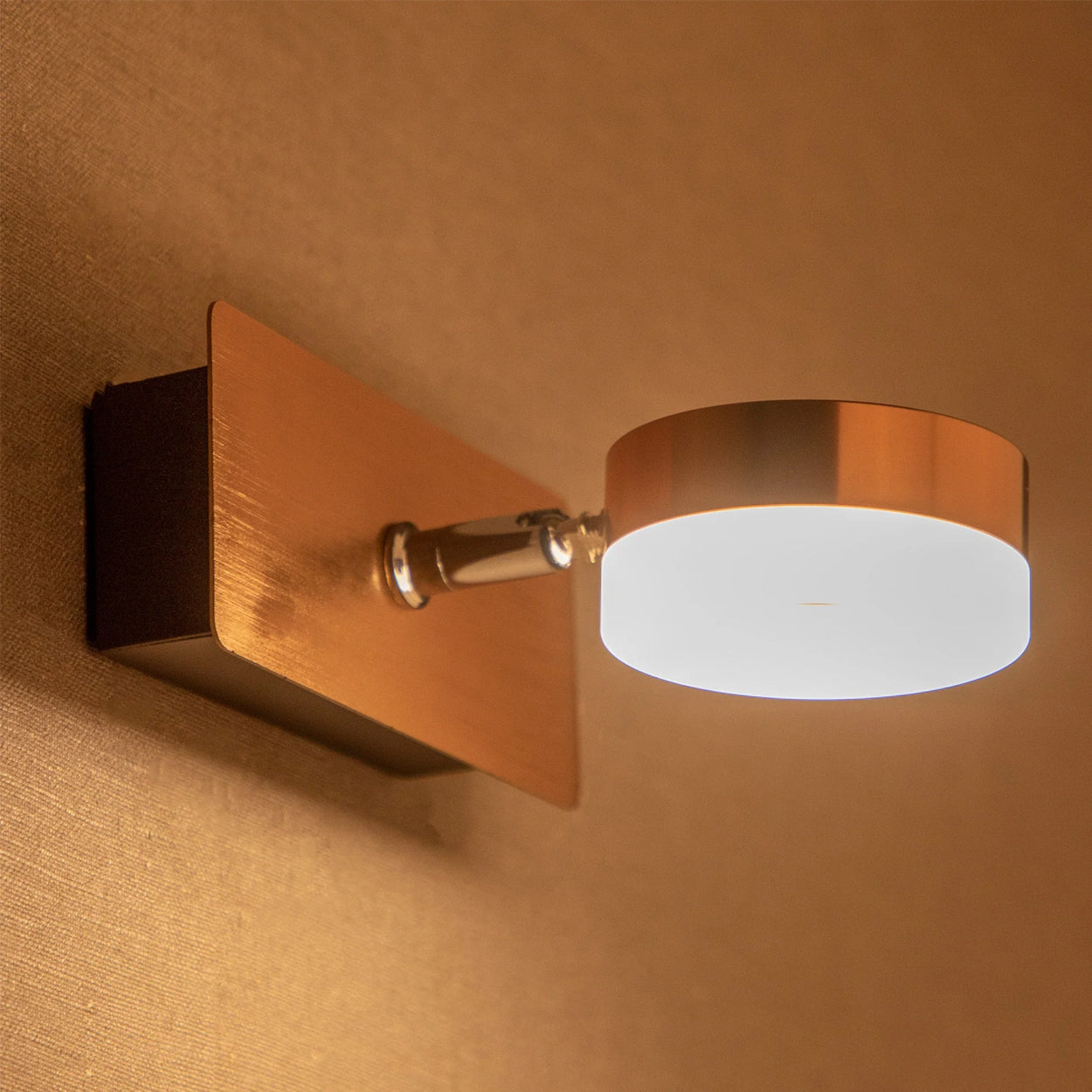 ANKUR DONUT CONTEMPORARY LED MIRROR AND PICTURE LIGHT FOR LIVING AND HOME LIGHTING