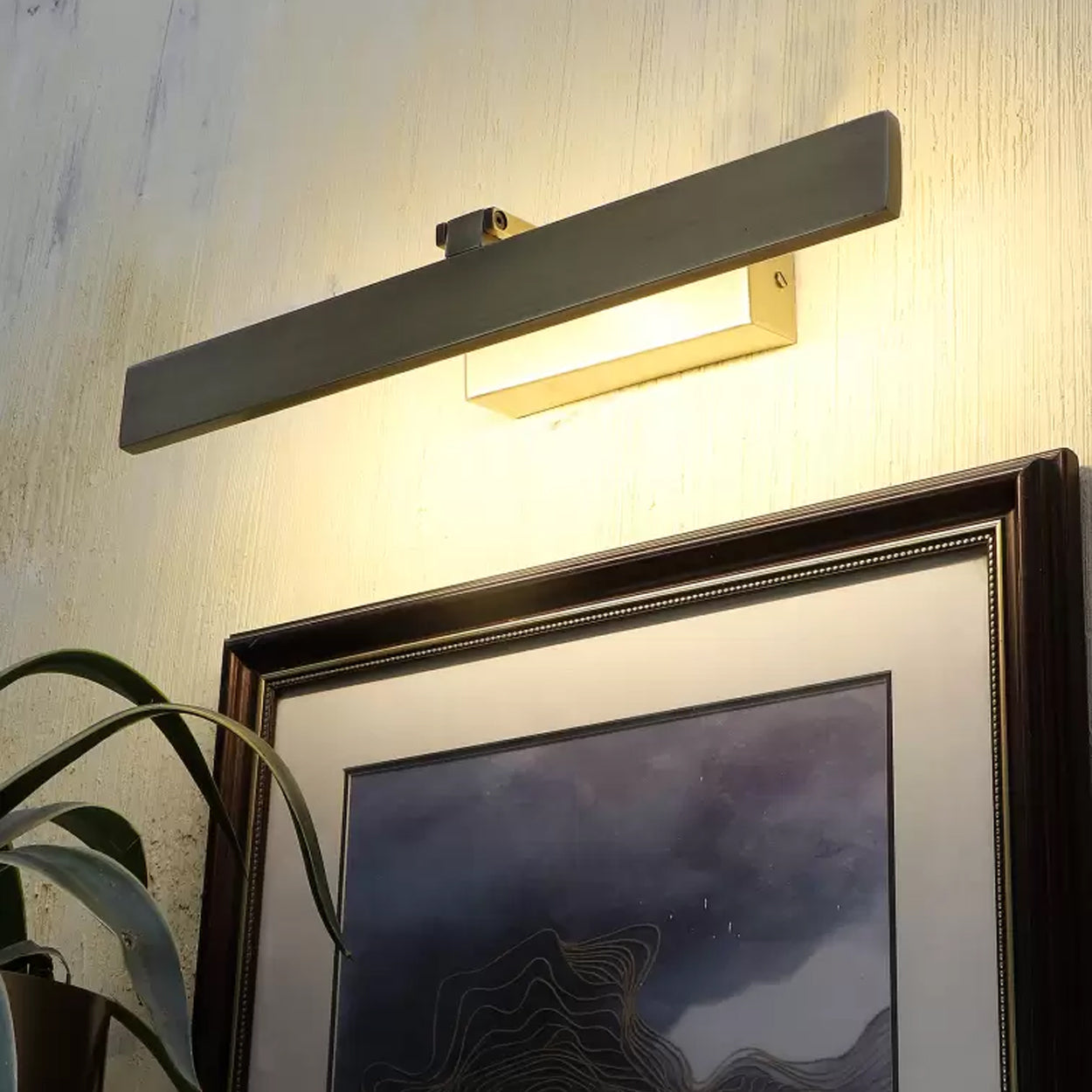 ANKUR LAVISTA LED PICTURE WALL LIGHT