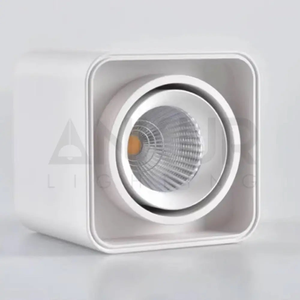 ANKUR BRIC SURFACE CEILING ADJUSTABLE LED LIGHT ANTIGLARE OPTION FOR LIVING ROOMS CORRIDORS AISLES 3000K / WHITE