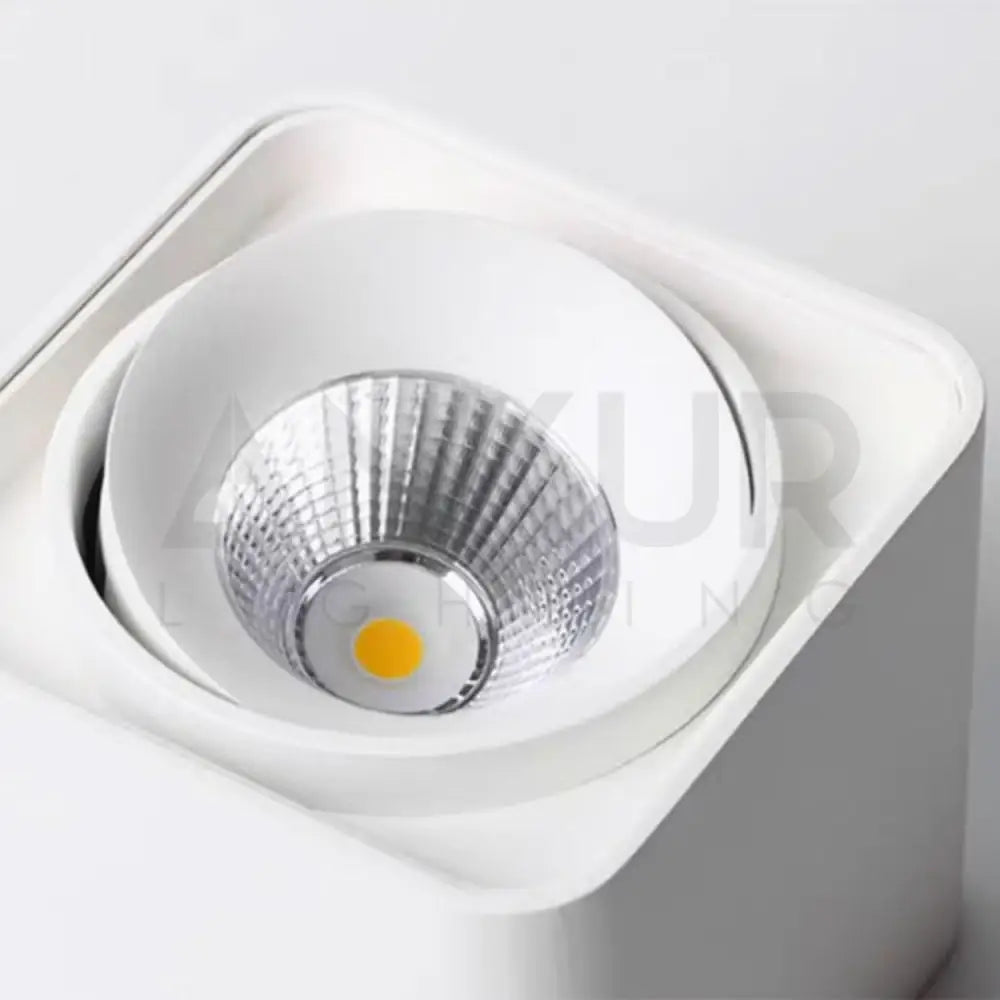 ANKUR BRIC SURFACE CEILING ADJUSTABLE LED LIGHT ANTIGLARE OPTION FOR LIVING ROOMS CORRIDORS AISLES Downlight