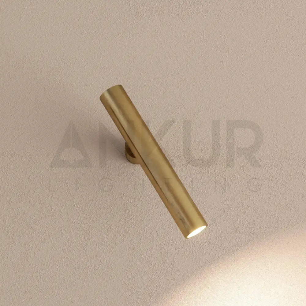 ANKUR CARGO METAL AND BRASS FINISH BEDSIDE LED WALL LIGHT