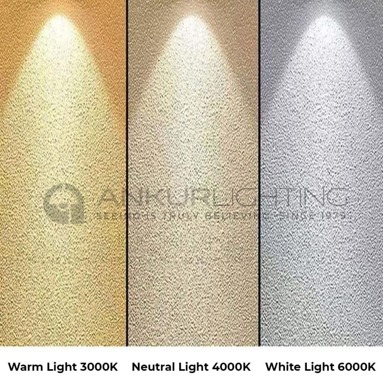 ANKUR ERA RINGO 6W CYLINDER TUBE LED HANGING LIGHT - Ankur Lighting