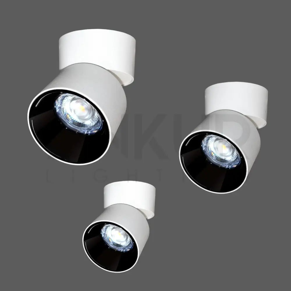 ANKUR EURO BEND2 LED SURFACE DOWN LIGHT - Ankur Lighting