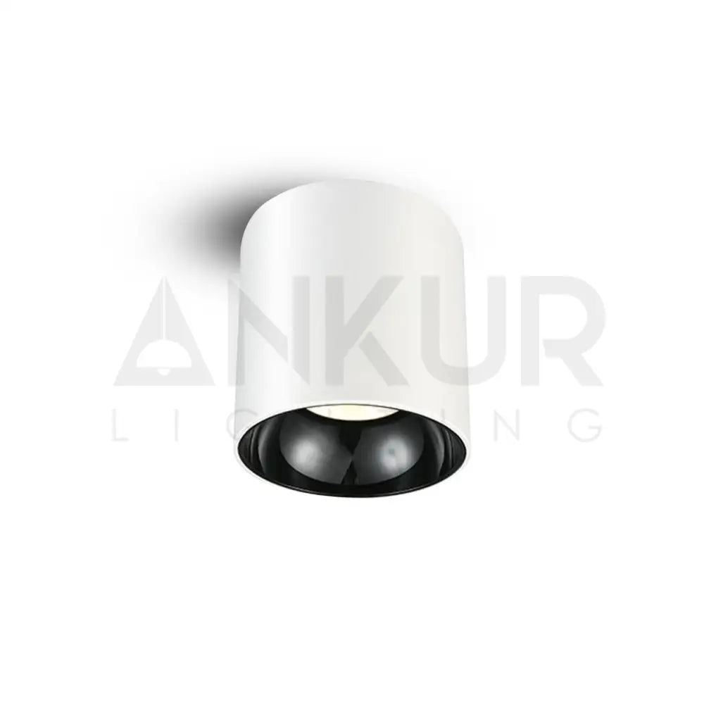ANKUR GLITZ CYLINDRICAL SHAPE INDOOR CEILING MOUNTED SPOT LIGHT LED SURFACE DOWNLIGHT