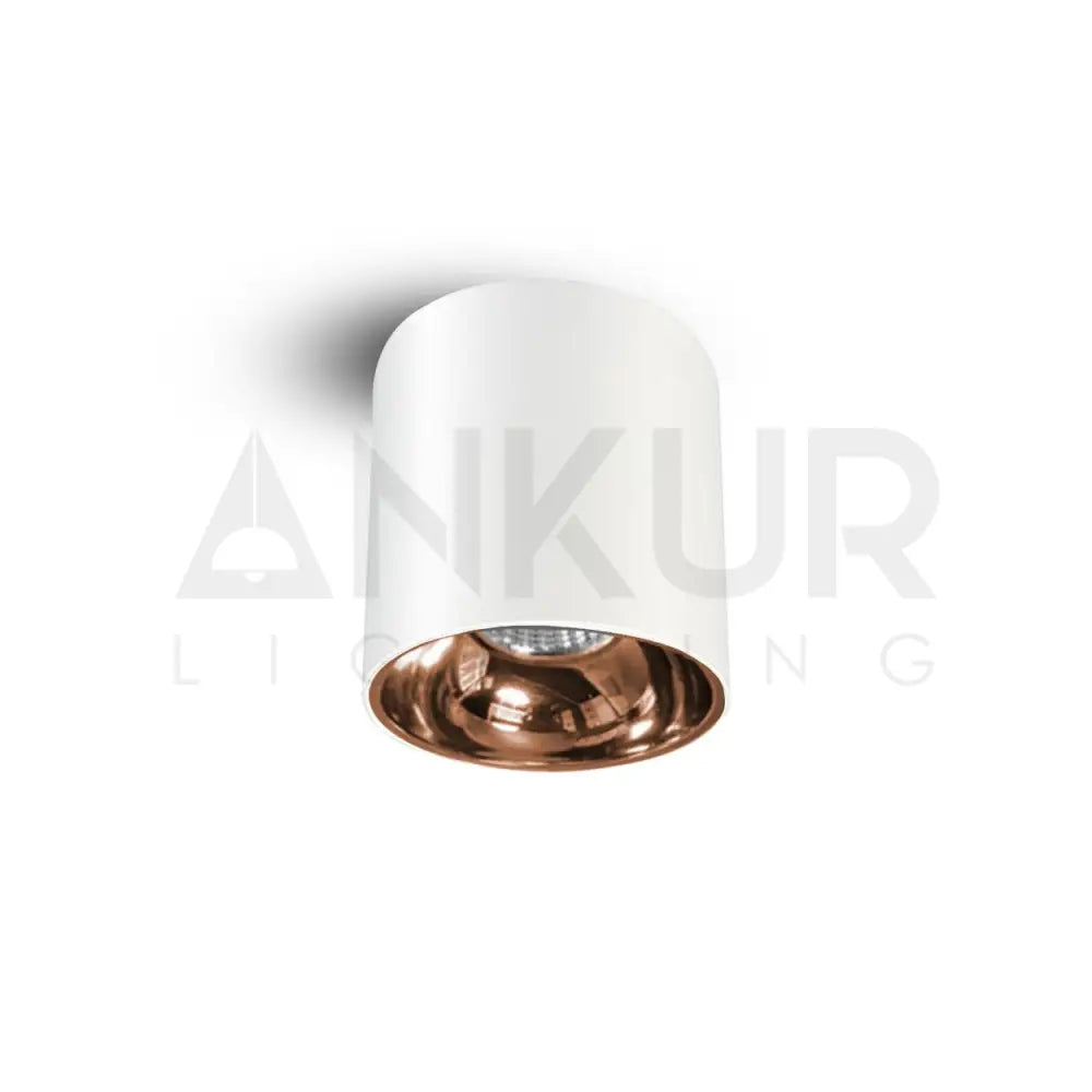 ANKUR GLITZ CYLINDRICAL SHAPE INDOOR CEILING MOUNTED SPOT LIGHT LED SURFACE DOWNLIGHT 8W / WHITE + GOLD / 4000K
