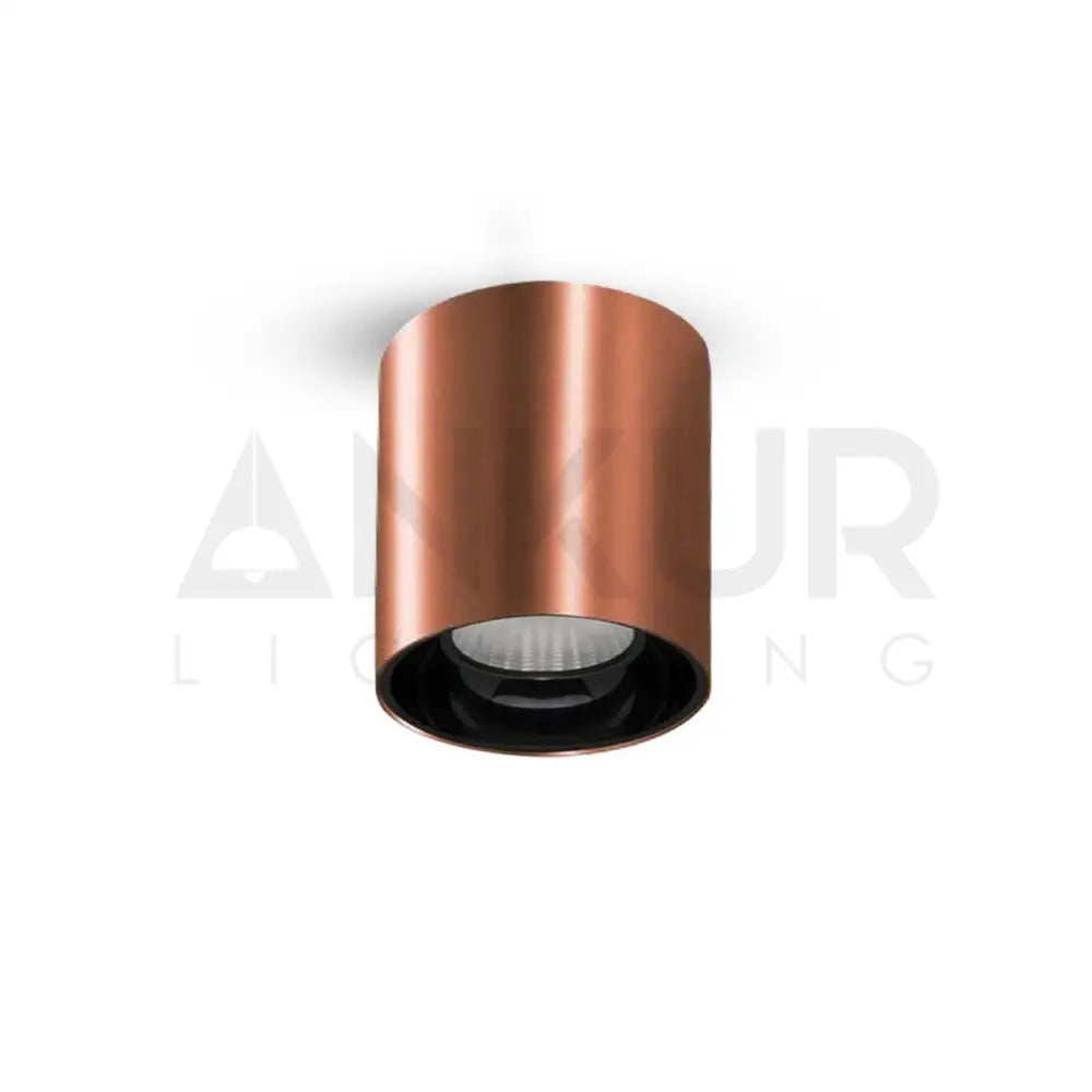 ANKUR GLITZ CYLINDRICAL SHAPE INDOOR CEILING MOUNTED SPOT LIGHT LED SURFACE DOWNLIGHT
