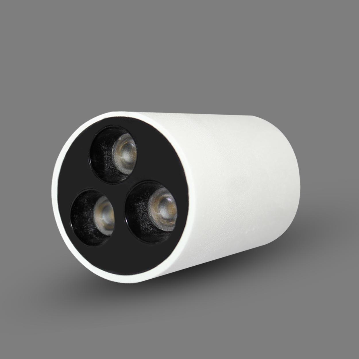 ANKUR GRACE LB LED SURFACE CYLINDER LIGHT - Ankur Lighting