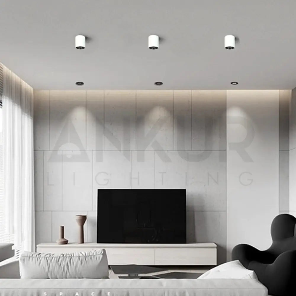 ANKUR GRACE LB LED SURFACE CYLINDER LIGHT Downlight