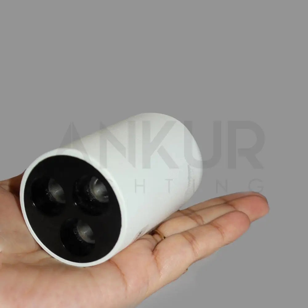 ANKUR GRACE LB LED SURFACE CYLINDER LIGHT - Ankur Lighting