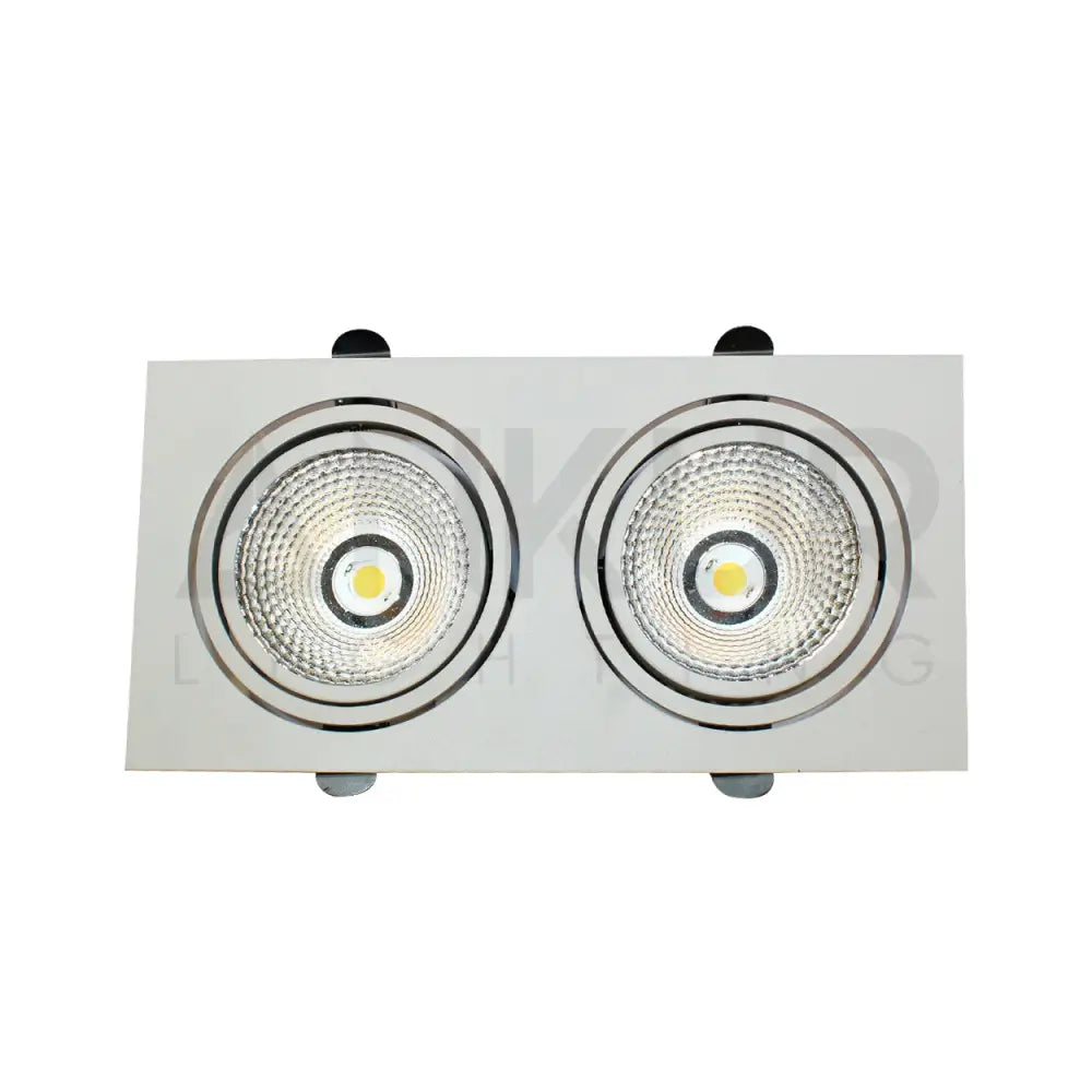 ANKUR LARK 2LP RECESSED DOWNLIGHT Downlight