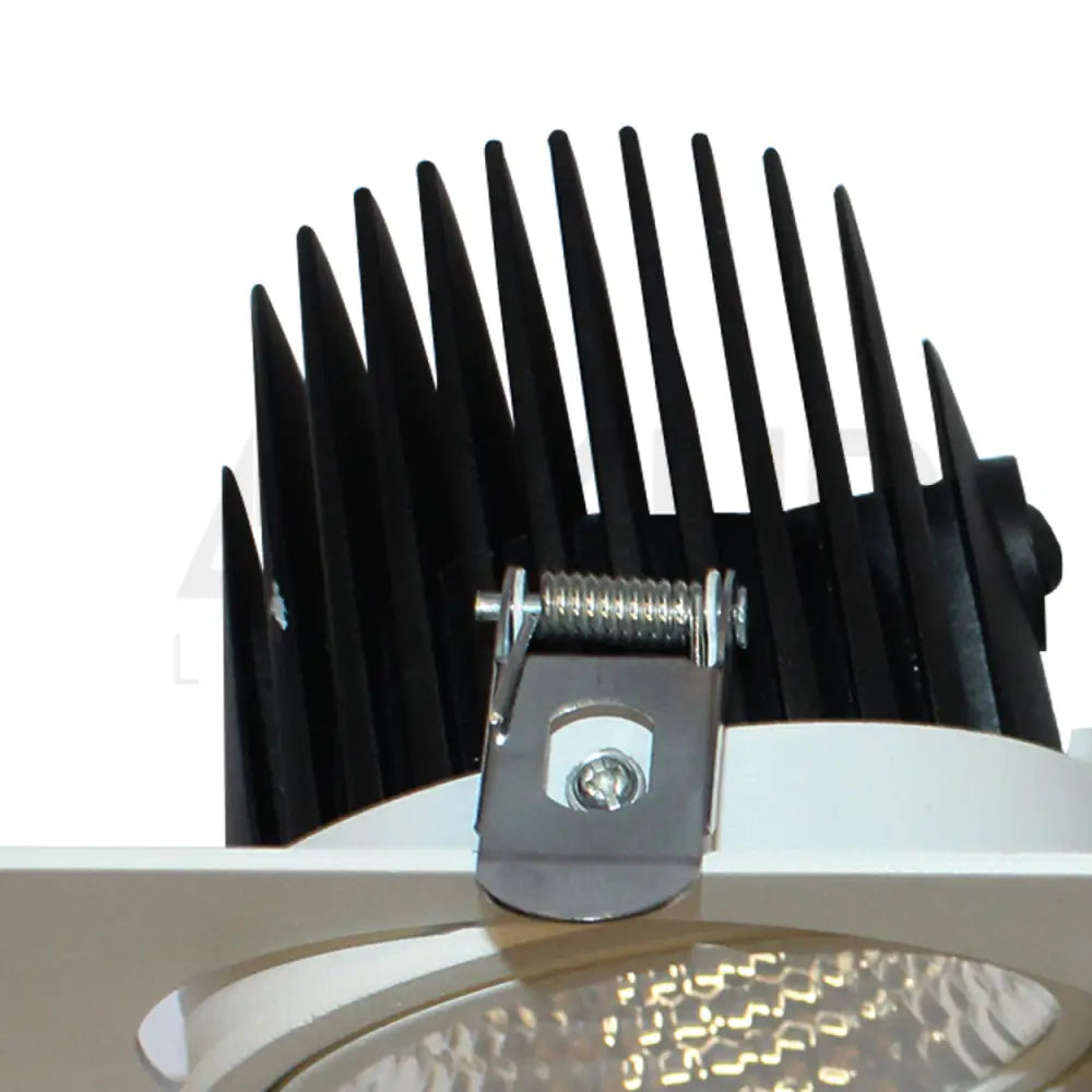 ANKUR LARK 2LP RECESSED DOWNLIGHT Downlight