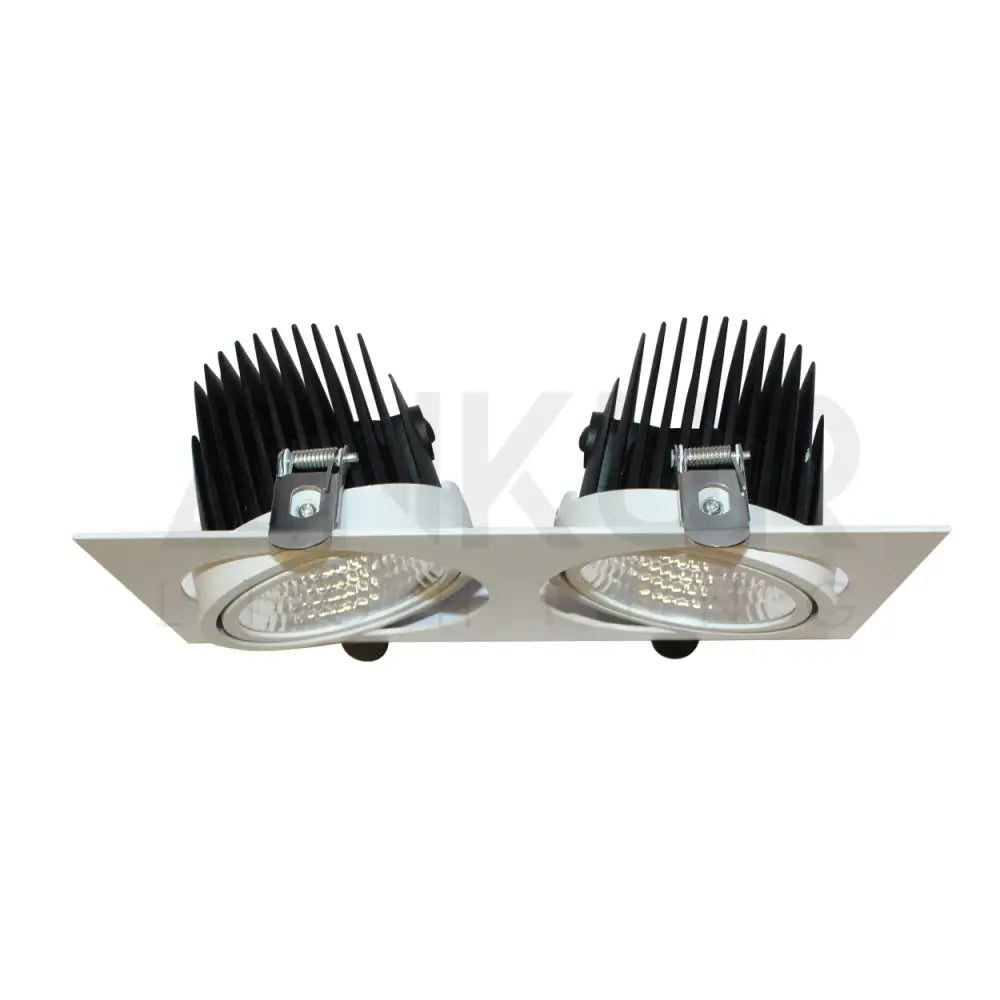 ANKUR LARK 2LP RECESSED DOWNLIGHT 3000K Downlight