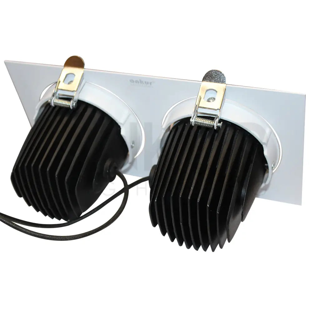 ANKUR LARK 2LP RECESSED DOWNLIGHT Downlight