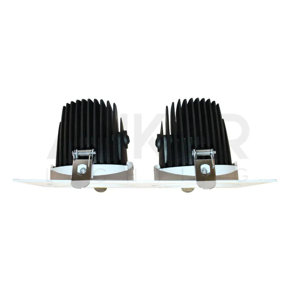 ANKUR LARK 2LP RECESSED DOWNLIGHT Downlight