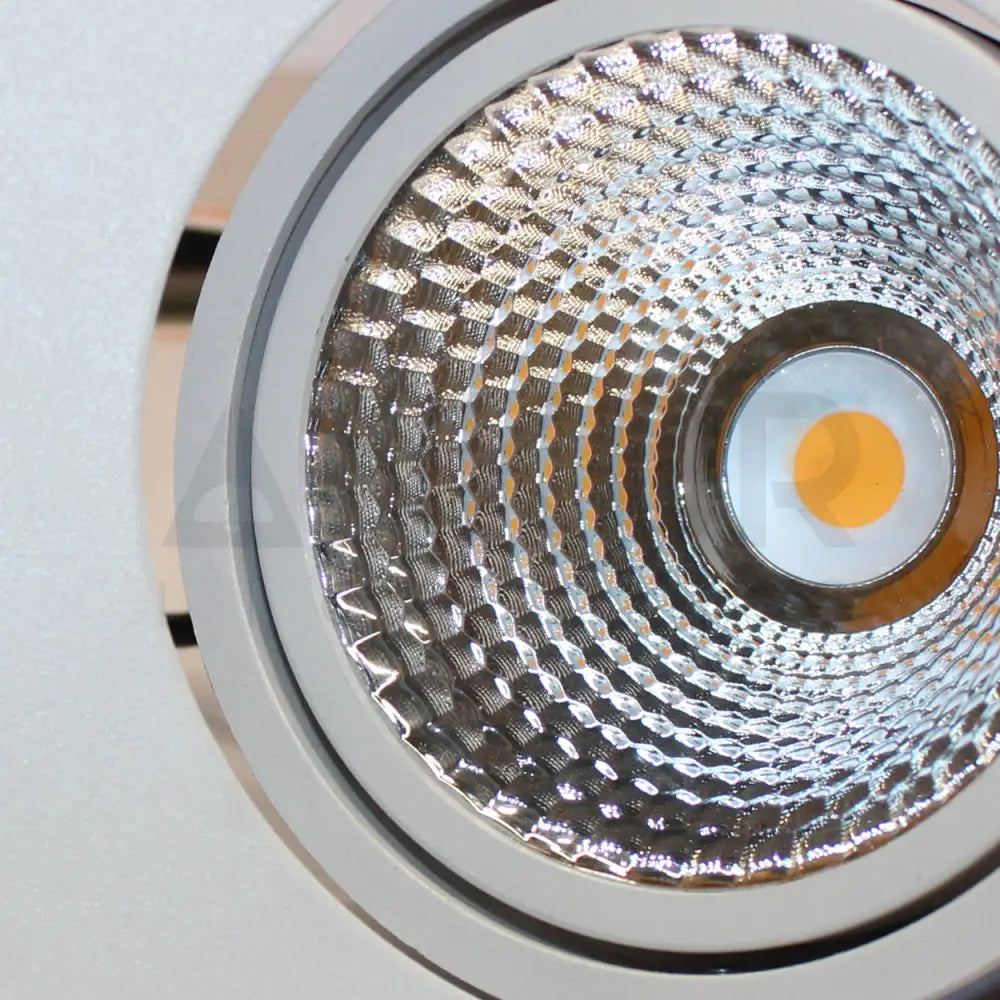 ANKUR LARK 2LP RECESSED DOWNLIGHT Downlight