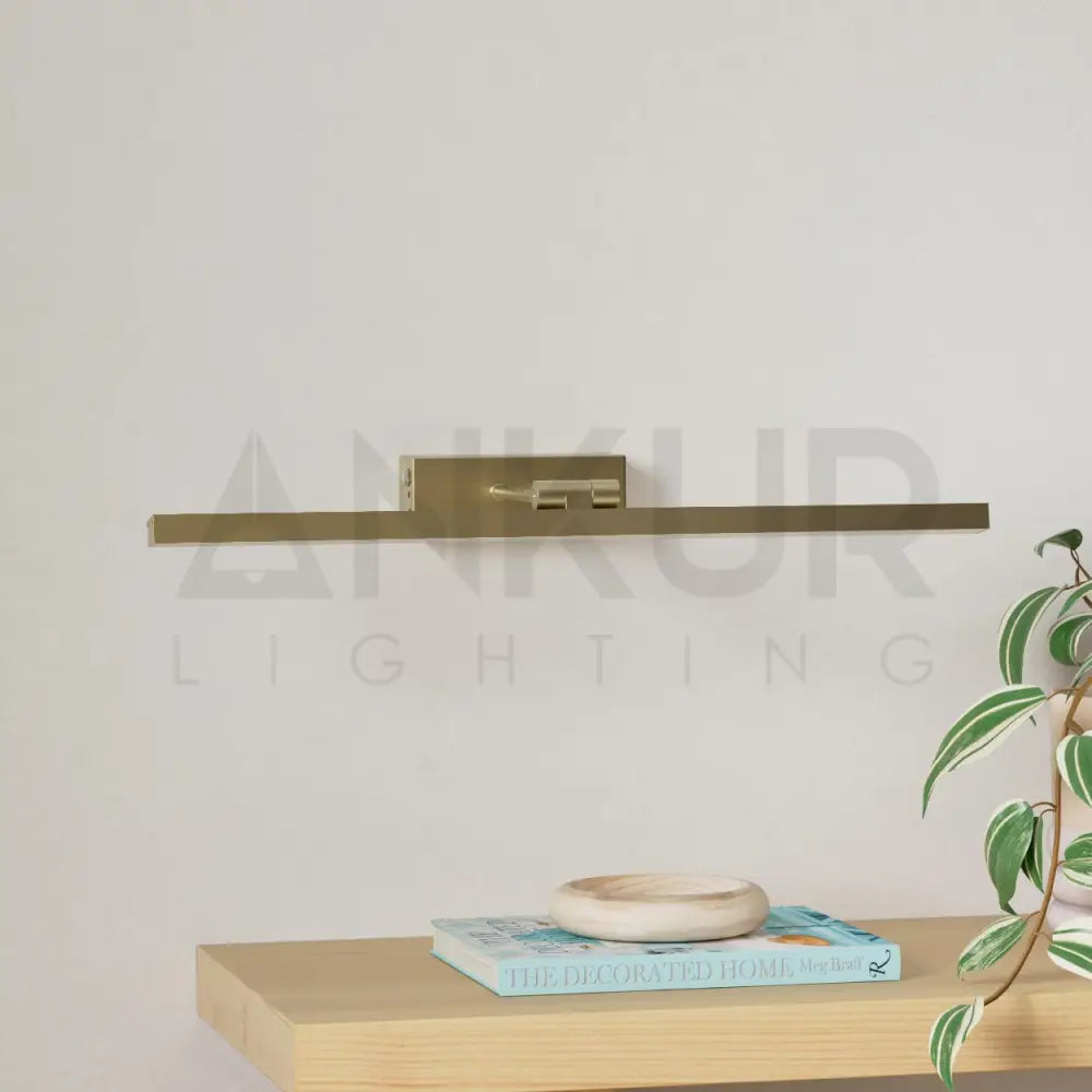 ANKUR LAVISTA LED PICTURE WALL LIGHT