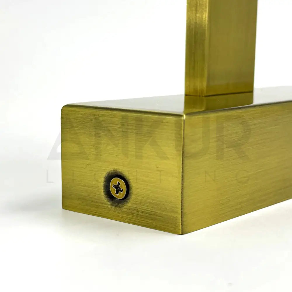 ANKUR LAVISTA LED PICTURE WALL LIGHT
