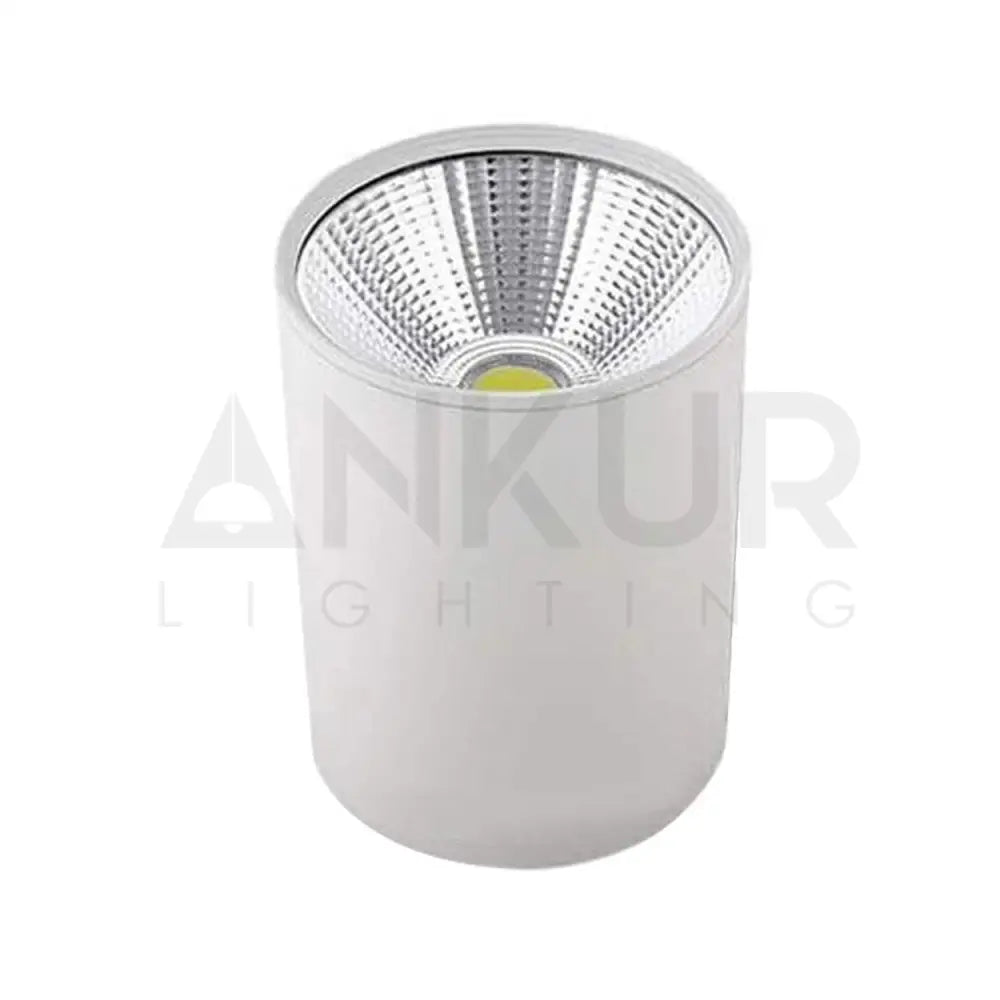 ANKUR MDM CYLINDRICAL SURFACE LED DOWNLIGHT - Ankur Lighting