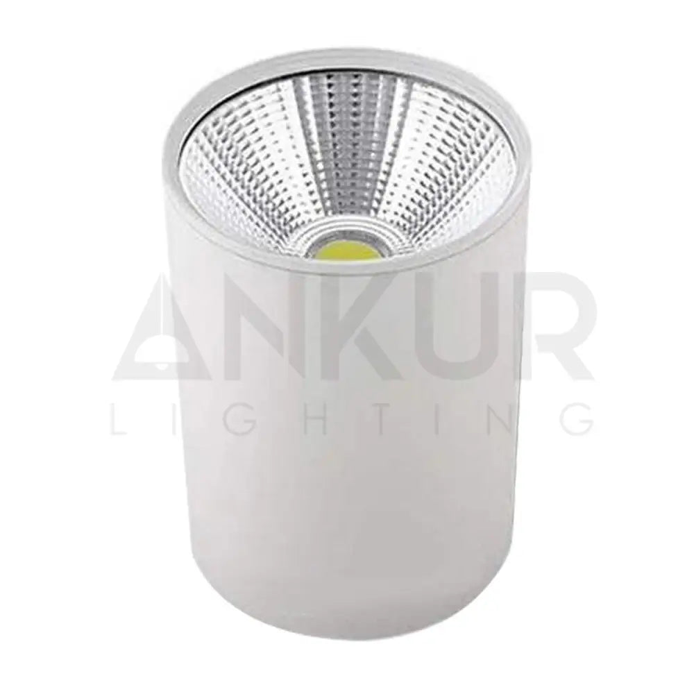 ANKUR MDM CYLINDRICAL SURFACE LED DOWNLIGHT - Ankur Lighting