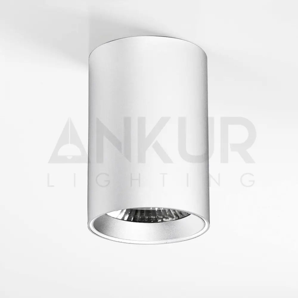ANKUR MDM CYLINDRICAL SURFACE LED DOWNLIGHT - Ankur Lighting