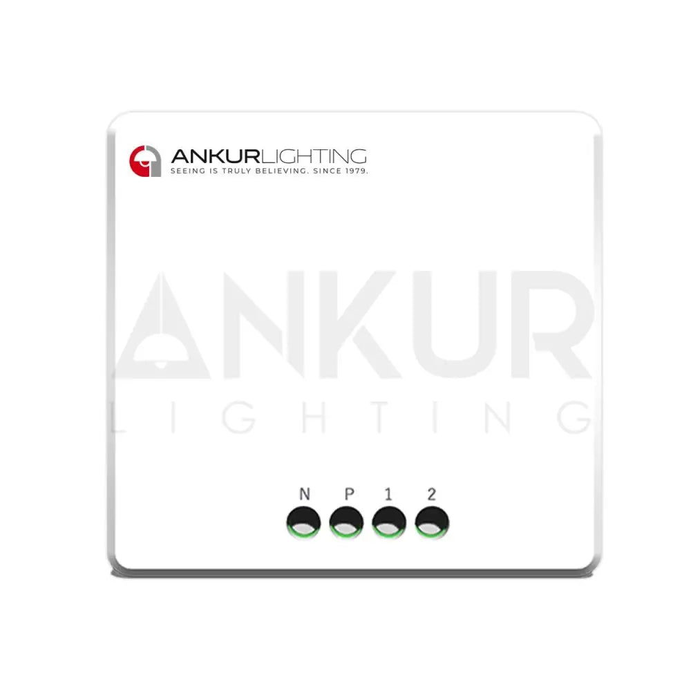 ANKUR NEXA RETROFIT SMART SWITCH FOR AUTOMATION BY PHONE AND ALEXA - Ankur Lighting