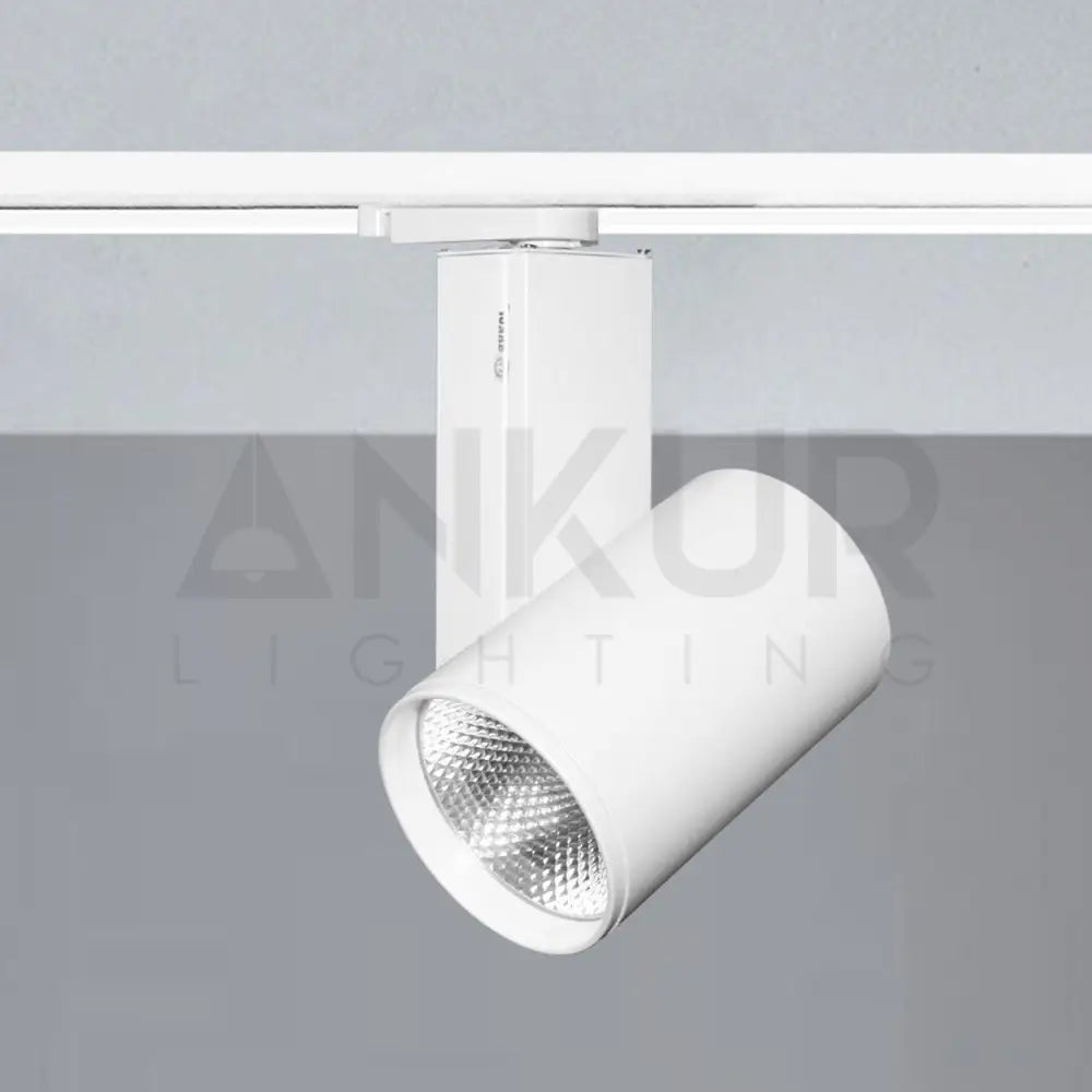 ANKUR RINGO LED TRACK LIGHT - Ankur Lighting