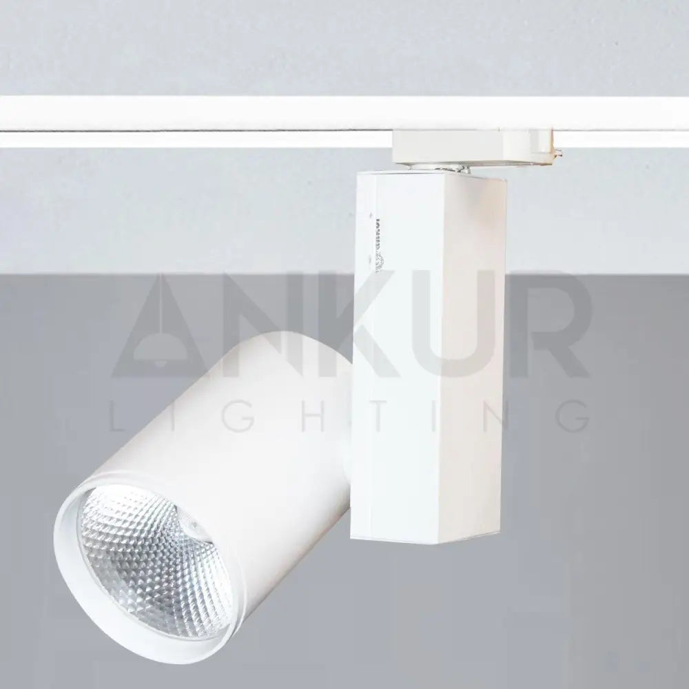 ANKUR RINGO LED TRACK LIGHT - Ankur Lighting