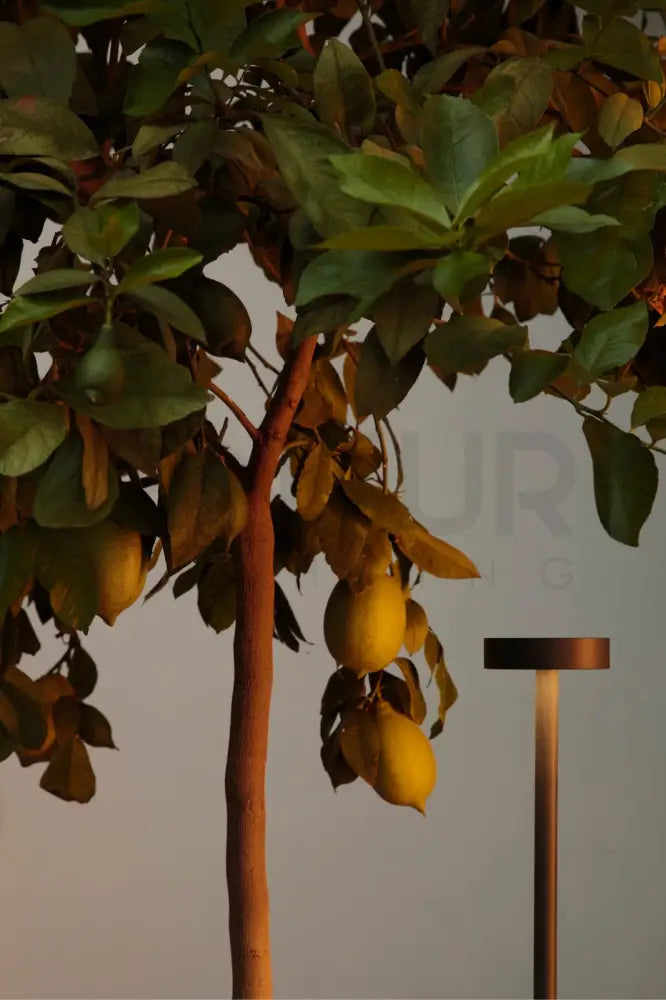 ANKUR SHRUB OUTDOOR LED BOLLARD LIGHT