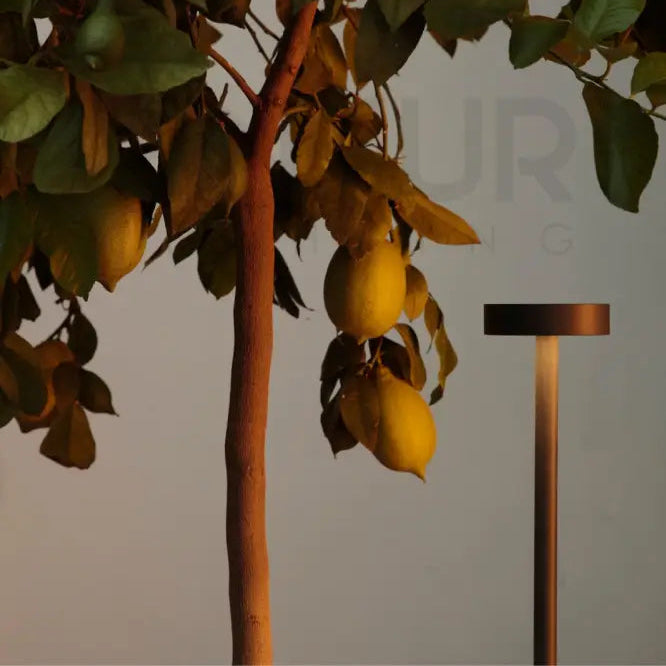 ANKUR SHRUB OUTDOOR LED BOLLARD LIGHT