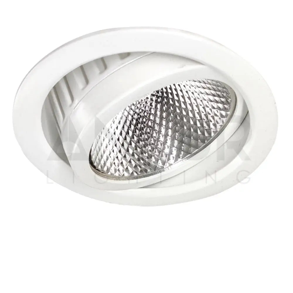 ANKUR TRAZER RECESSED LED DOWNLIGHT FOR RETAIL STORES AND HOSPITALITY - Ankur Lighting