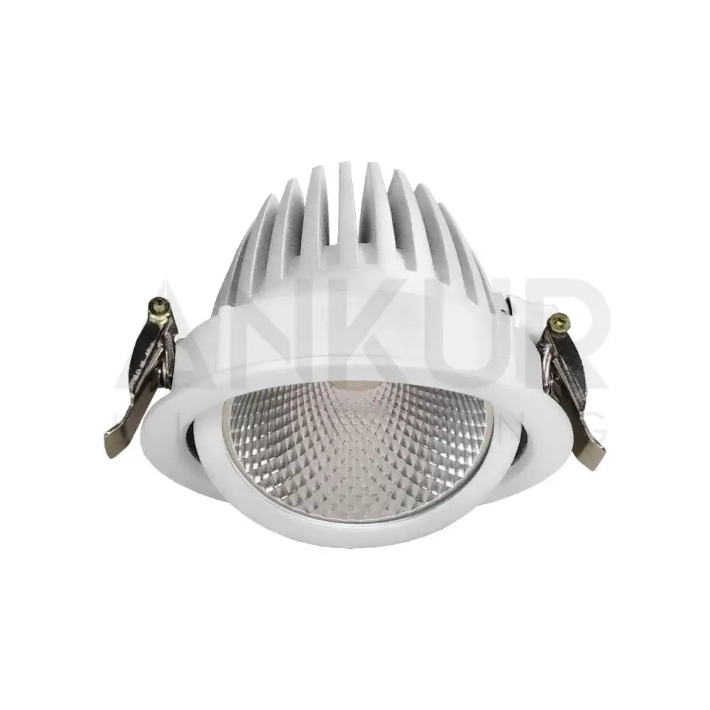 ANKUR TRAZER RECESSED LED DOWNLIGHT FOR RETAIL STORES AND HOSPITALITY - Ankur Lighting
