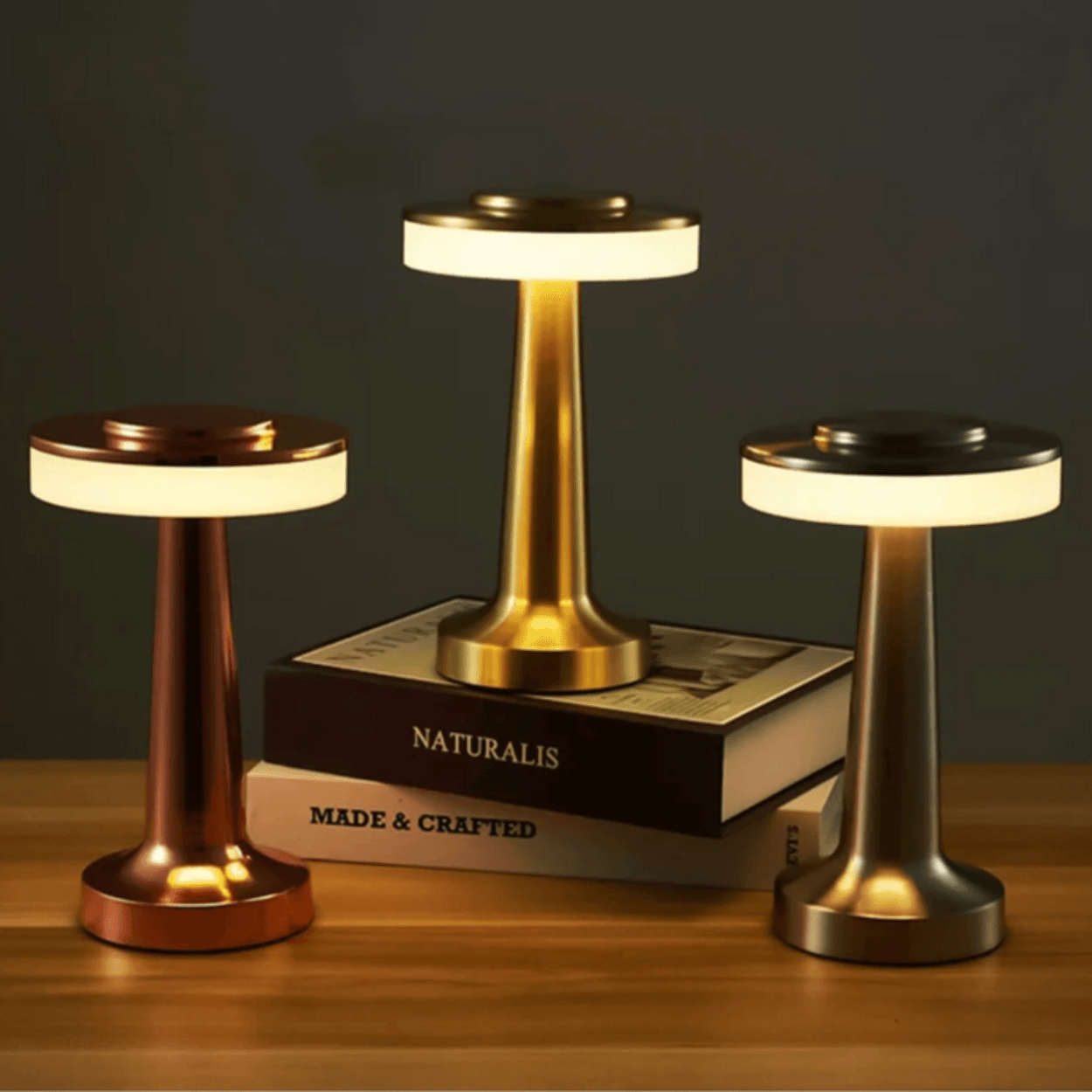 MUSHED RECHARGABLE TOUCH CONTROL WIRELESS BAR TABLE LAMP - Ankur Lighting