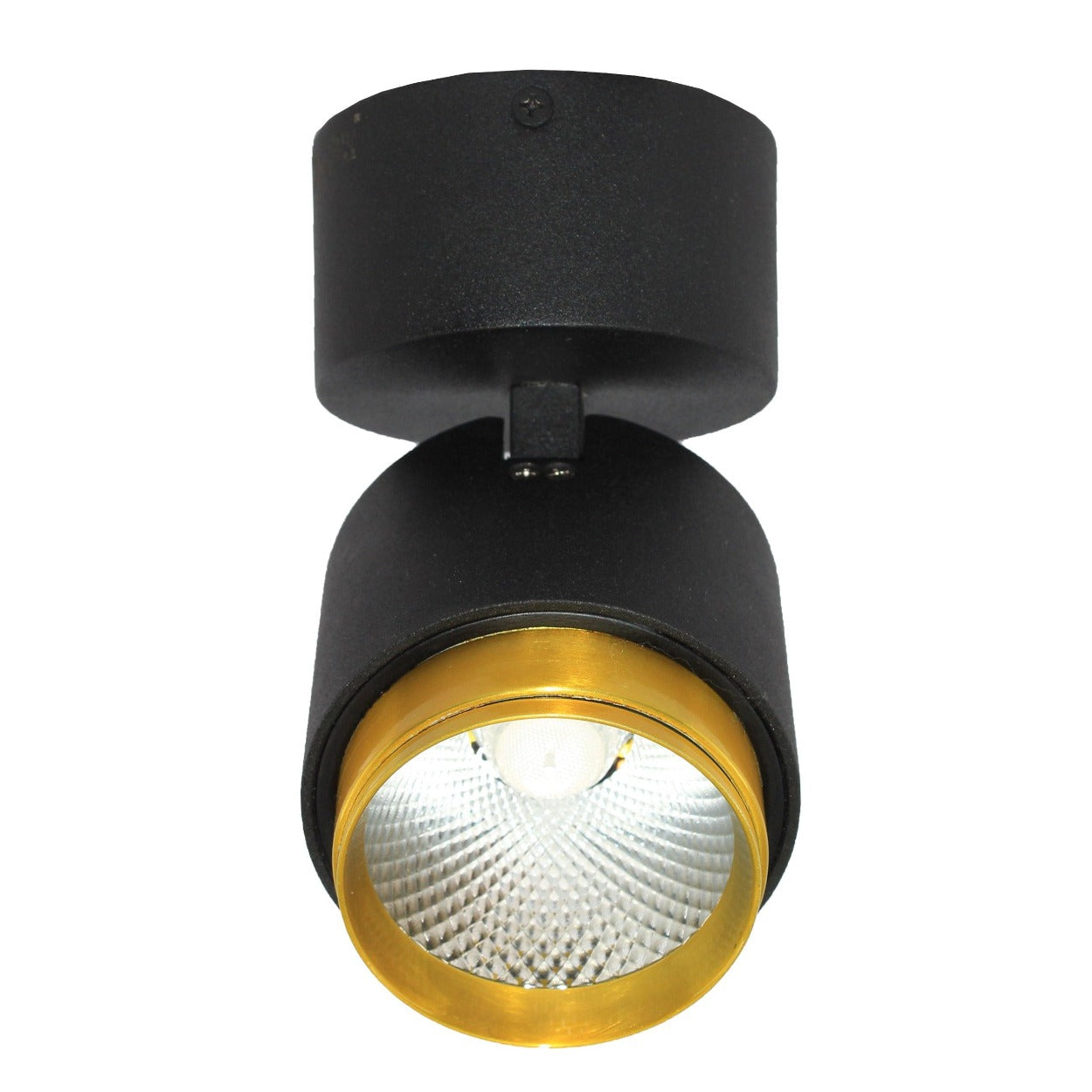 ANKUR DUAL TONE LED SURFACE LIGHT - Ankur Lighting