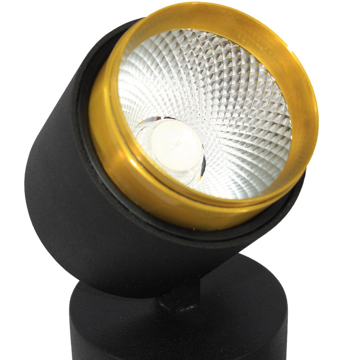 ANKUR DUAL TONE LED SURFACE LIGHT - Ankur Lighting