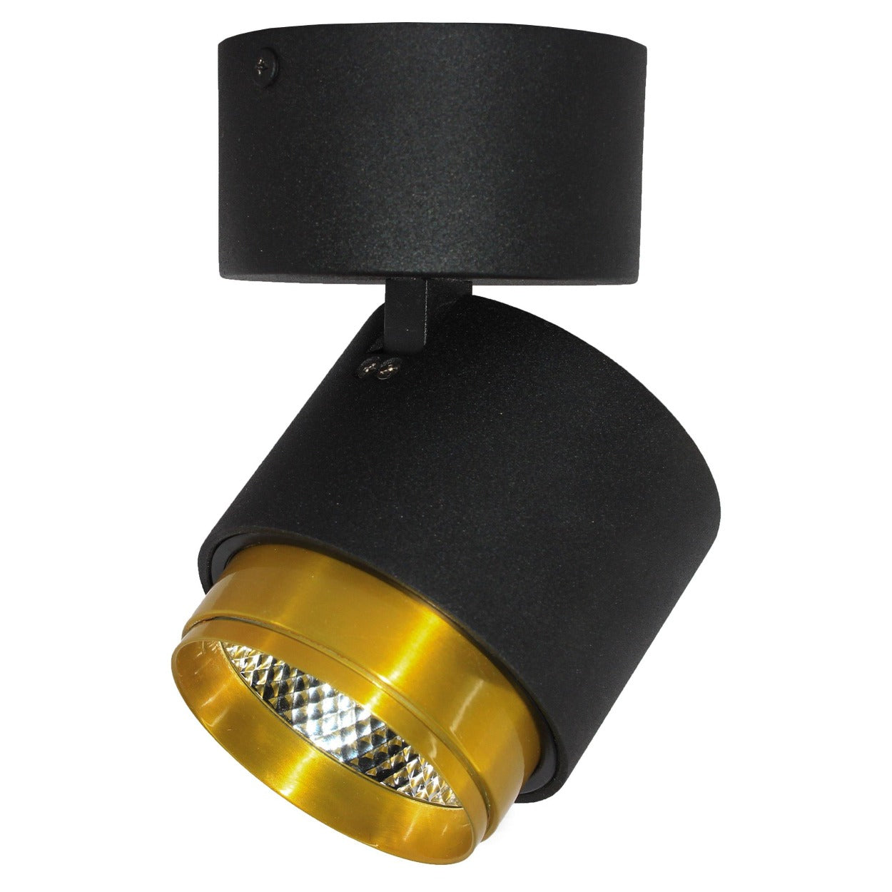 ANKUR DUAL TONE LED SURFACE LIGHT - Ankur Lighting