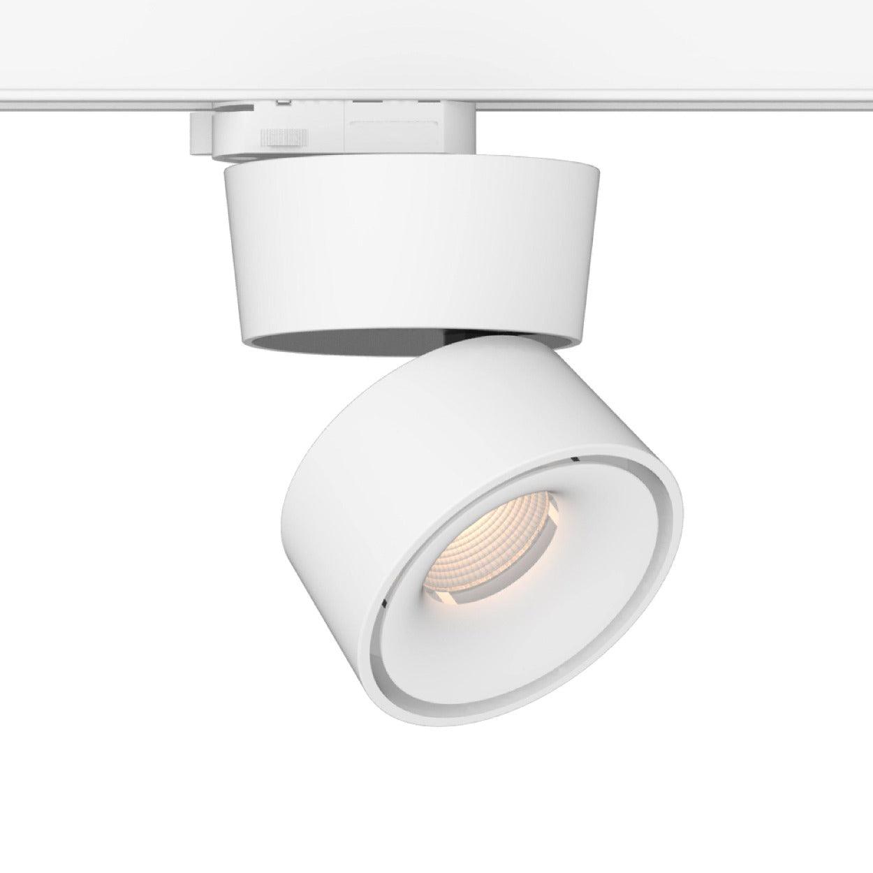 ANKUR EURO BEND LED LIGHT - Ankur Lighting