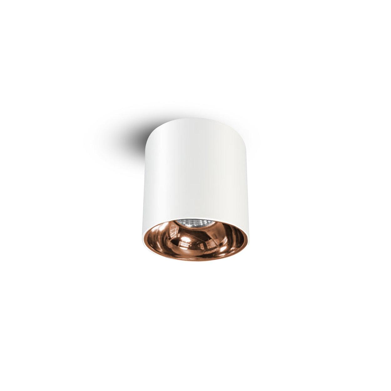 ANKUR GLITZ LED SURFACE DOWNLIGHT - Ankur Lighting